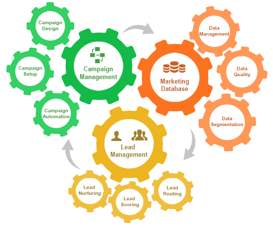 Marketing Automation Image - MarConvergence